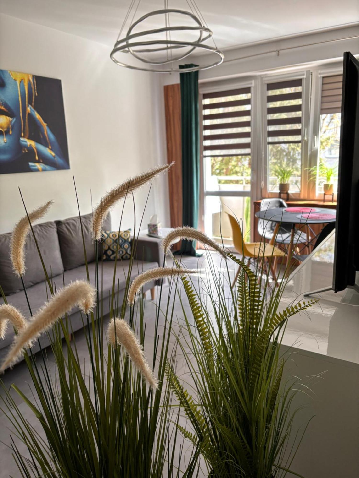Apartament Teresa Nysa Exteriér fotografie